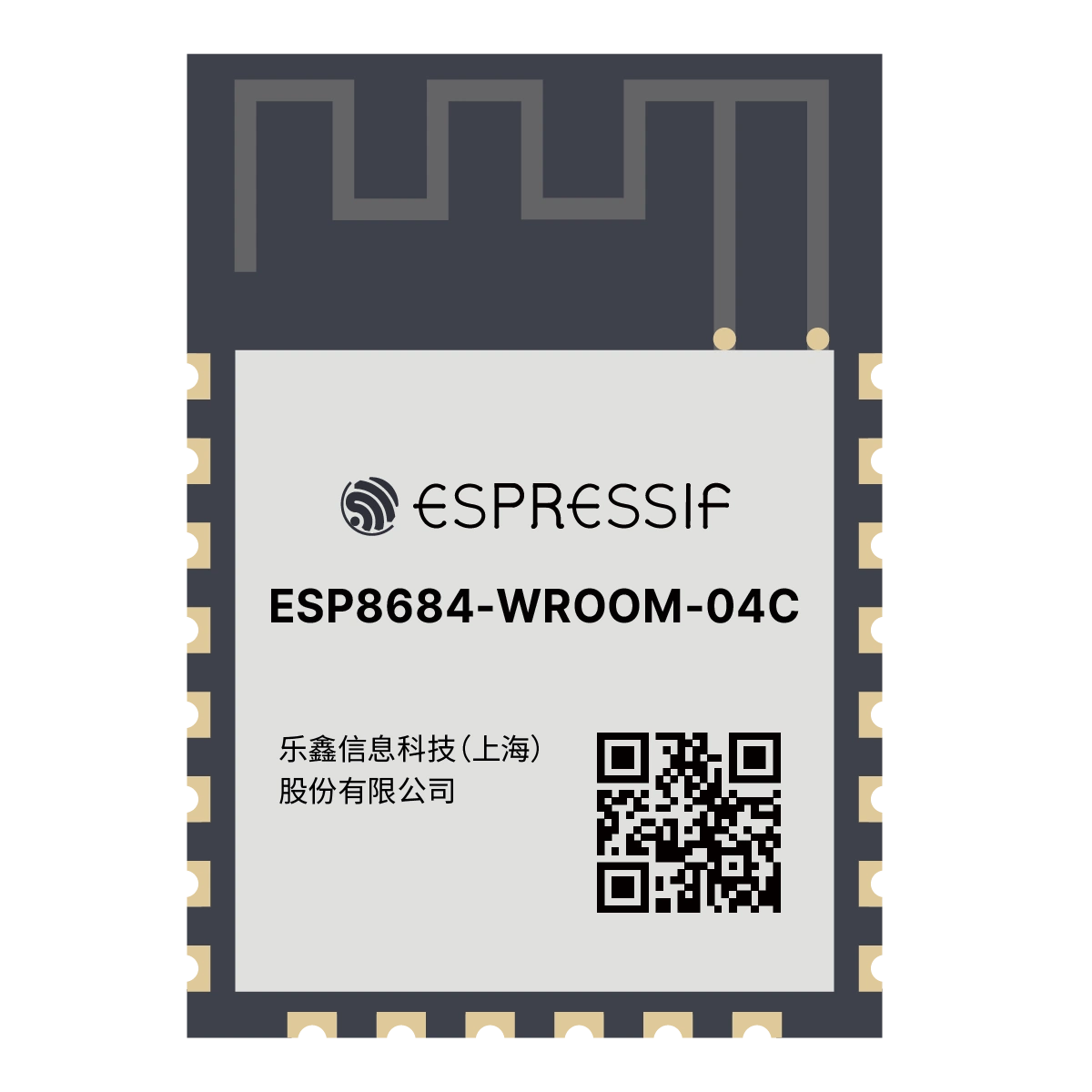 ESP8684-WROOM-04C ESP32-C2 ESP-12 Compatible