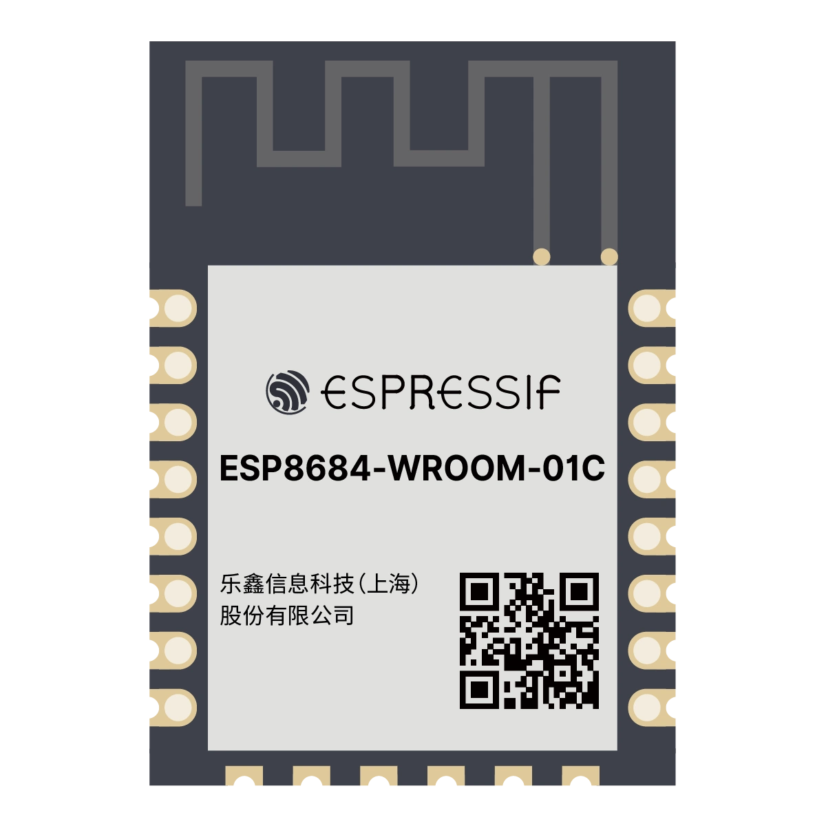 ESP8684-WROOM-01C ESP32-C2 ESP-12 Compatible