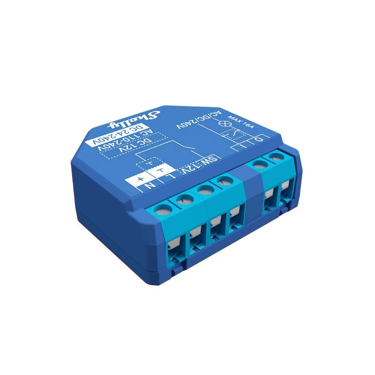 Shelly Plus 1 Switch Module (SNSW-001X16EU) Configuration for Tasmota